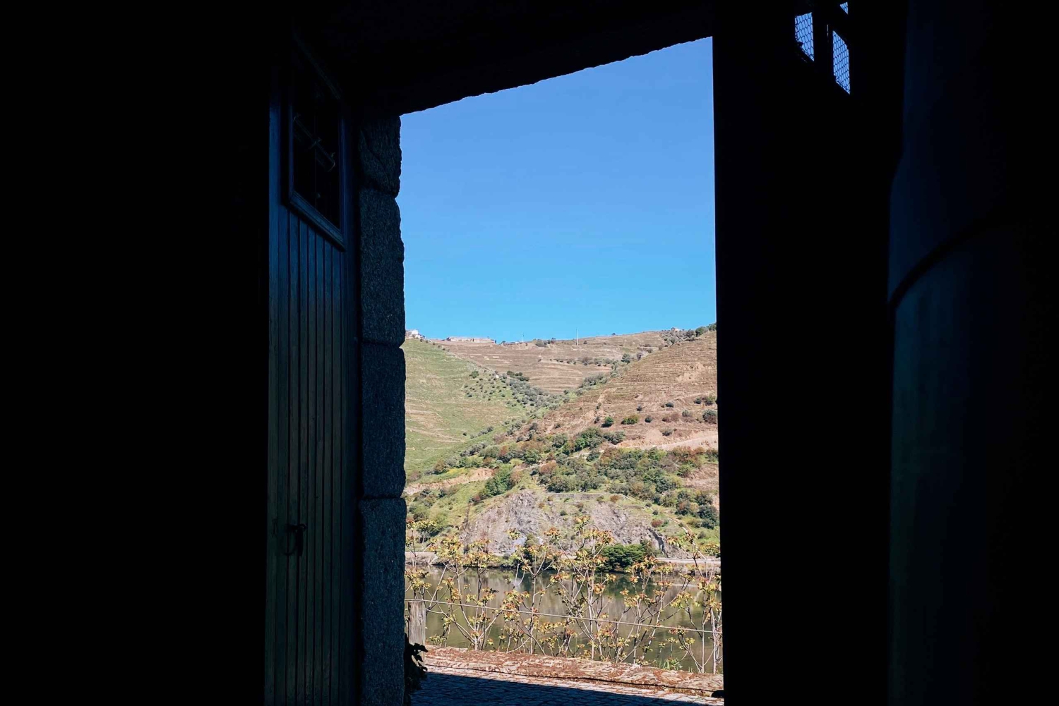 Vallée du Douro : visites privées avec 1 dégustation de vin