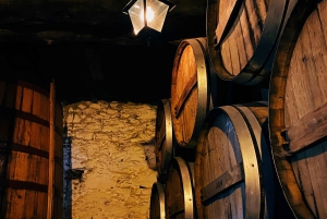 Vallée du Douro : visites privées avec 1 dégustation de vin