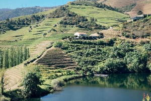 Dolina Douro: Wycieczka prywatna z 1 degustacją wina