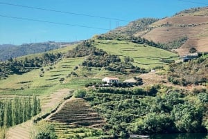 Valle del Douro: TOUR PRIVATO con 1 degustazione di vini