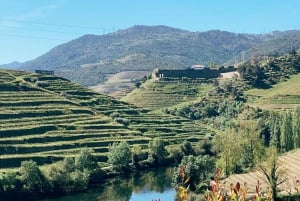 Valle del Douro: TOUR PRIVATO con 1 degustazione di vini