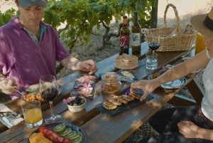 Douro-Tal: Quinta do Tedo Weinerlebnis mit Picknick