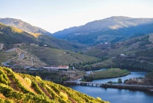 Douro-Tal: Quinta do Tedo Weinerlebnis mit Picknick
