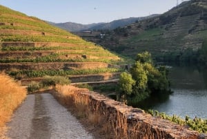 Douro-Tal: Quinta do Tedo Weinerlebnis mit Picknick