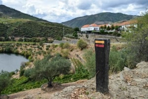 Douro-Tal: Quinta do Tedo Weinerlebnis mit Picknick