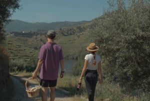 Douro-Tal: Quinta do Tedo Weinerlebnis mit Picknick