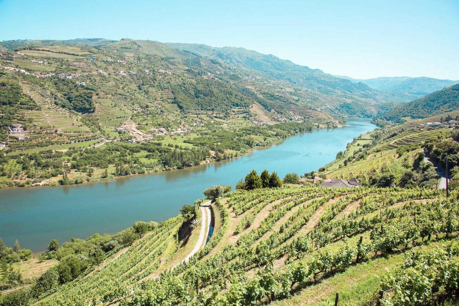 Douro-Tal: Echte Kleingruppe, Weinverkostung, Mittagessen & Boot