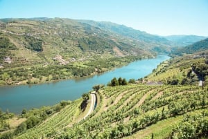 Douro-Tal: Echte Kleingruppe, Weinverkostung, Mittagessen & Boot