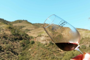 Douro-Tal: Echte Kleingruppe, Weinverkostung, Mittagessen & Boot