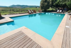 Douro-Tal: Echte Kleingruppe, Weinverkostung, Mittagessen & Boot