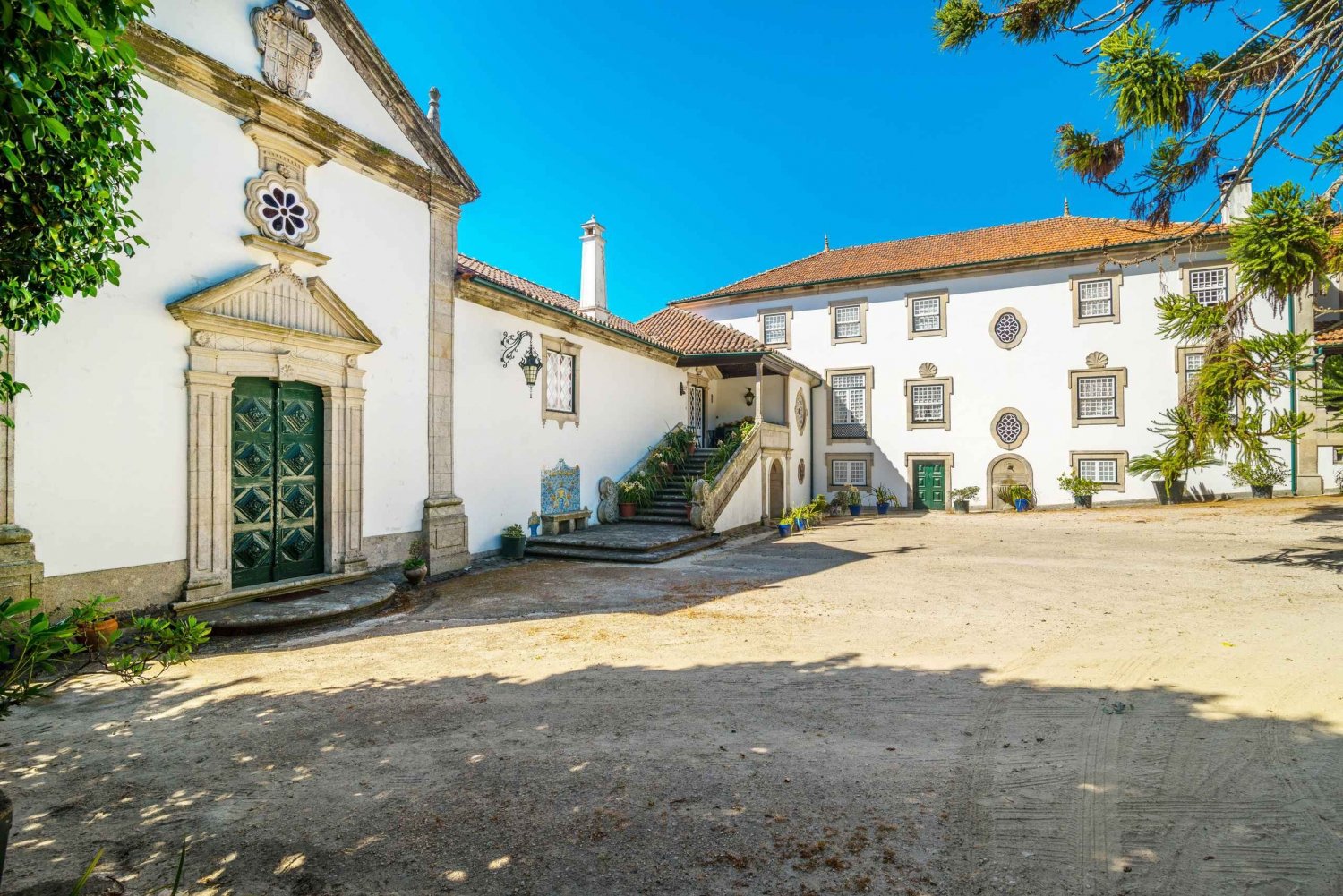 Porto : déjeuner culturel privé et dégustation de vin dans la vallée du Douro