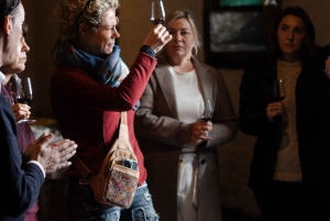 Porto: pranzo culturale privato e degustazione di vini nella Valle del Douro