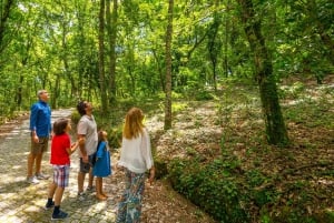 Porto: pranzo culturale privato e degustazione di vini nella Valle del Douro