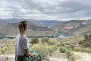 Valle del Duero: Verdadero Grupo Pequeño, Cata de Vinos, Almuerzo y Barco