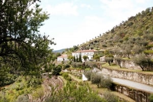 Valle del Duero: Verdadero Grupo Pequeño, Cata de Vinos, Almuerzo y Barco