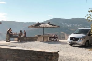 Valle del Duero: Verdadero Grupo Pequeño, Cata de Vinos, Almuerzo y Barco
