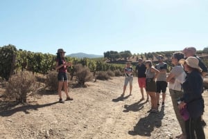 Valle del Duero: Verdadero Grupo Pequeño, Cata de Vinos, Almuerzo y Barco
