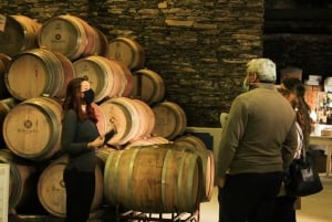 Valle del Duero: Verdadero Grupo Pequeño, Cata de Vinos, Almuerzo y Barco