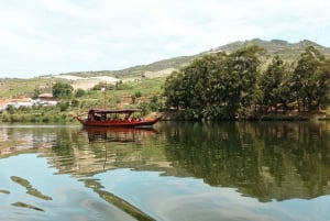 Valle del Duero: Verdadero Grupo Pequeño, Cata de Vinos, Almuerzo y Barco
