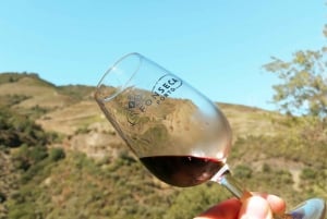 Valle del Duero: Verdadero Grupo Pequeño, Cata de Vinos, Almuerzo y Barco