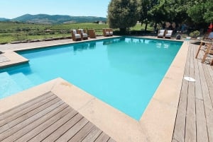 Valle del Duero: Verdadero Grupo Pequeño, Cata de Vinos, Almuerzo y Barco