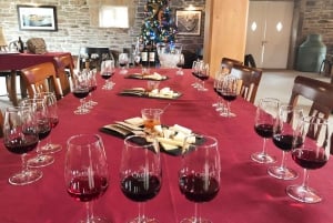 Valle del Duero: Verdadero Grupo Pequeño, Cata de Vinos, Almuerzo y Barco