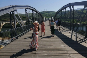 Douro Valley Sunset: 1 Winery visit & 1-h Boat Tour