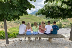 Douro Valley Sunset: 1 Winery visit & 1-h Boat Tour