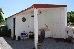 Douro Valley Sunset: 1 Winery visit & 1-h Boat Tour