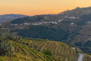 Douro-dalen: omvisning til fots ved solnedgang med en lokal innbygger