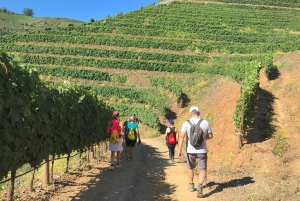 Douro-dalen: omvisning til fots ved solnedgang med en lokal innbygger