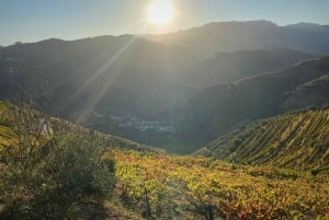 Douro-dalen: omvisning til fots ved solnedgang med en lokal innbygger