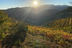 Douro-dalen: omvisning til fots ved solnedgang med en lokal innbygger