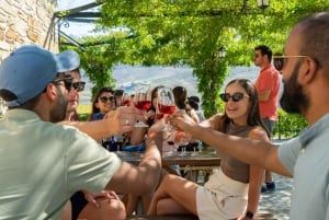 Z Porto: 2 winiarnie butikowe z lunchem i godzinny rejs