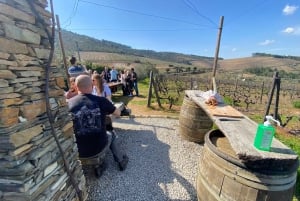 Z Porto: 2 winiarnie butikowe z lunchem i godzinny rejs