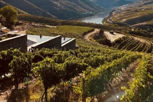 Z Porto: 2 winiarnie butikowe z lunchem i godzinny rejs