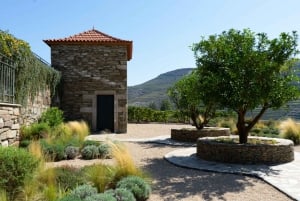 Z Porto: 2 winiarnie butikowe z lunchem i godzinny rejs