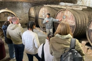 Z Porto: 2 winiarnie butikowe z lunchem i godzinny rejs