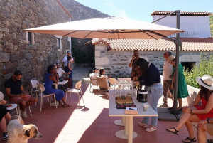 Porto: DOURO VALLEY Half-day Tour