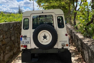 Porto: Smaking av grønn vin og besøk