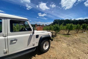 Porto: Smaking av grønn vin og besøk