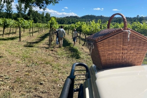 Porto: Smaking av grønn vin og besøk