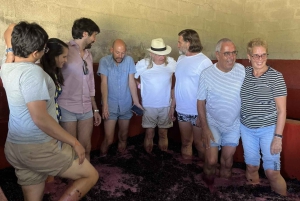 Porto: Smaking av grønn vin og besøk