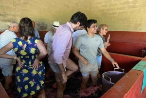 Porto: Smaking av grønn vin og besøk