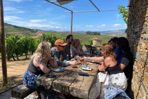 Porto: Smaking av grønn vin og besøk