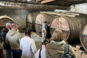 Porto: Smaking av grønn vin og besøk