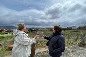 Porto: Smaking av grønn vin og besøk