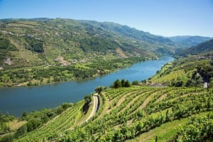 Kleine Gruppe: Weinverkostung im Douro-Tal von Porto aus