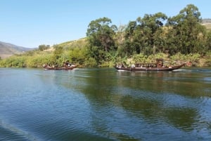 Kleine Gruppe: Weinverkostung im Douro-Tal von Porto aus