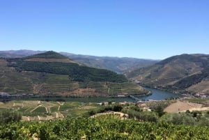 Kleine Gruppe: Weinverkostung im Douro-Tal von Porto aus